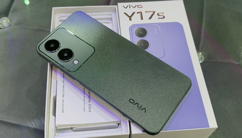 Vivo Y17S Price In India